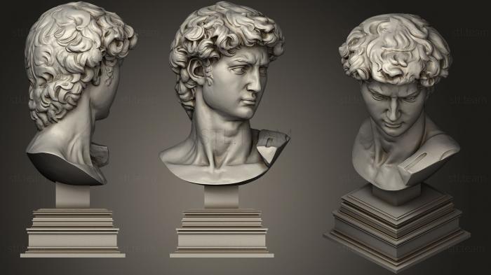 3D модель Статуя 96 Голова Давида (STL)